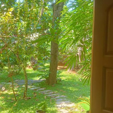 Mother'S Inn Homestay Kochi Exteriör bild